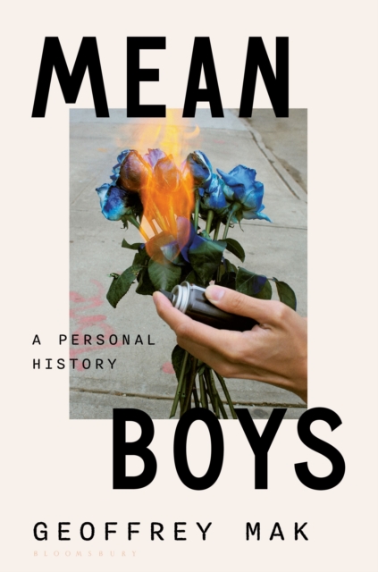 Cover for: Mean Boys : A Personal History