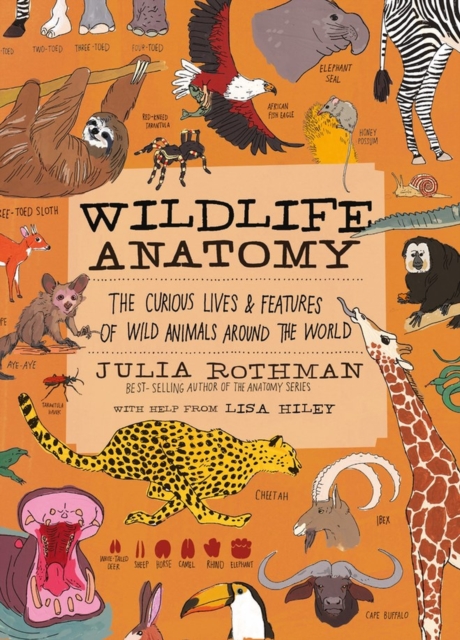Image for Wildlife Anatomy: The Curious Lives & Features of Wild Animals around the World