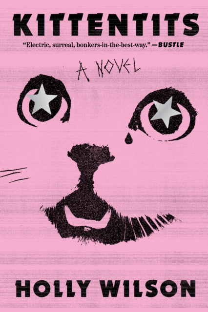 Image for Kittentits : A Novel