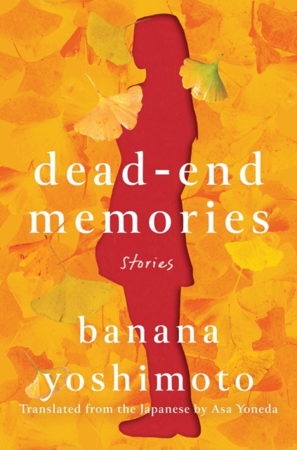 Image for Dead-end Memories