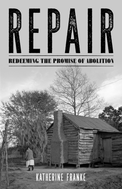 Image for Repair : Redeeming the Promise of Abolition