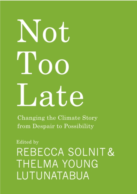 Cover for: Not Too Late : Changing the Climate Story from Despair to Possibility