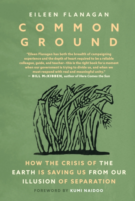Image for Common Ground : Stories of Resistance and Healing from the Movement to Protect the Earth