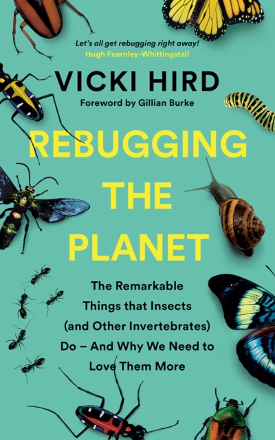 Image for Rebugging the Planet : The Remarkable Things that Insects (and Other Invertebrates) Do - And Why We Need to Love Them More