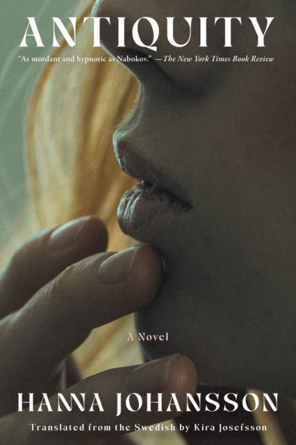 Image for Antiquity : A Novel