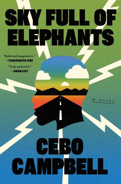 Image for Sky Full of Elephants : A Novel