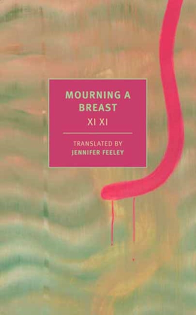 Image for Mourning a Breast