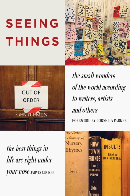 Image for SEEING THINGS : the small wonders of the world according to writers, artists and others