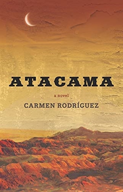 Image for Atacama : A Novel