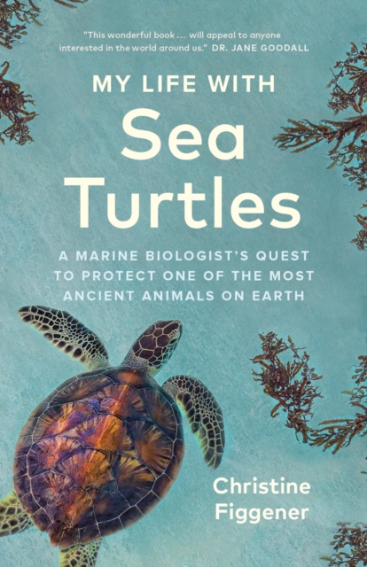 Image for My Life with Sea Turtles : A Marine Biologist's Quest to Protect One of the Most Ancient Animals on Earth