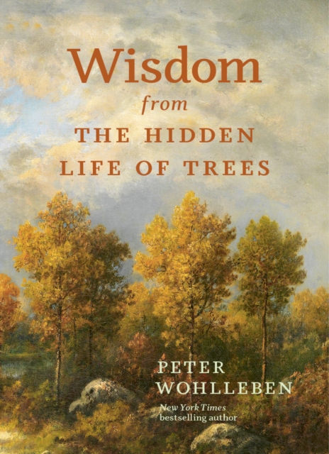 Cover for: Wisdom from the Hidden Life of Trees