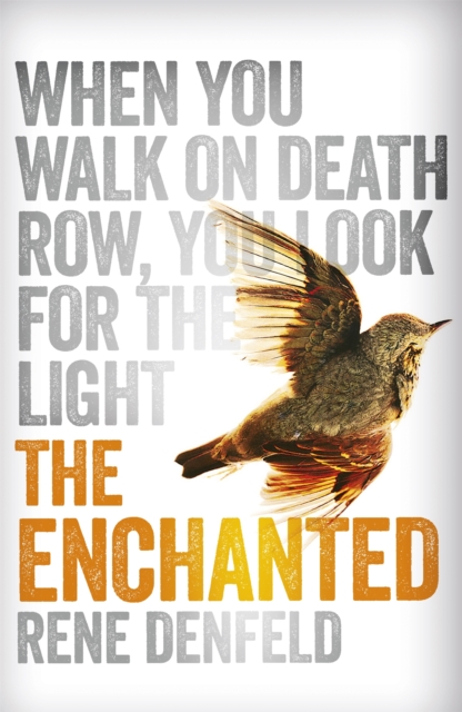 Cover for: The Enchanted