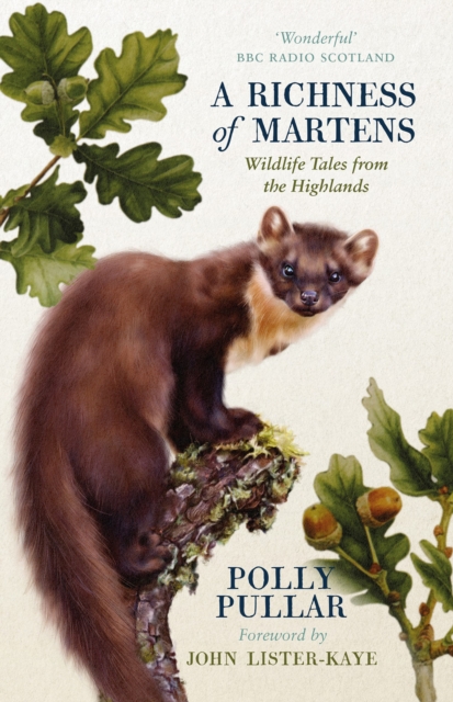 Cover for: A Richness of Martens : Wildlife Tales from the Highlands