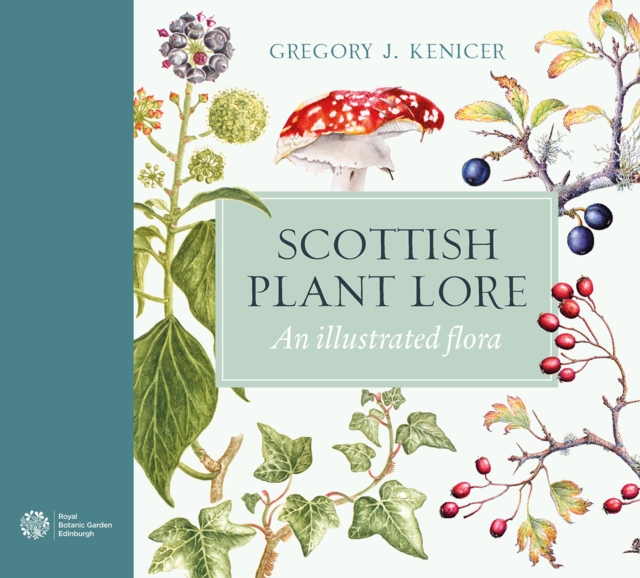 Image for Scottish Plant Lore : An Illustrated Flora