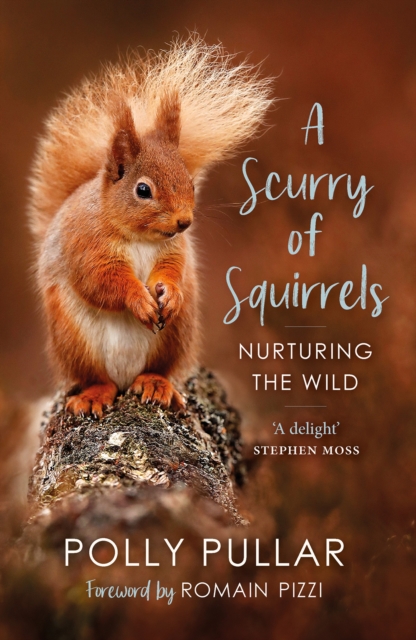 Cover for: A Scurry of Squirrels : Nurturing The Wild