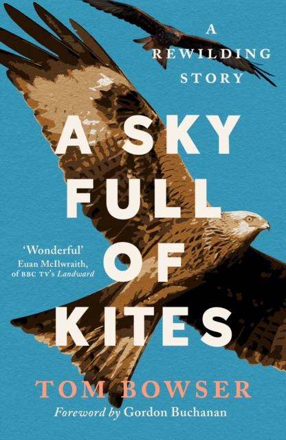 Image for A Sky Full of Kites : A Rewilding Story