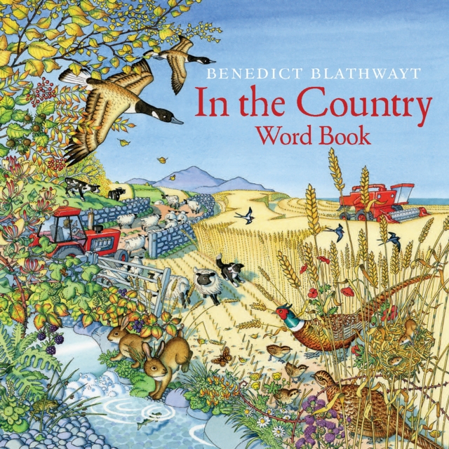 Image for In the Country : Word Book