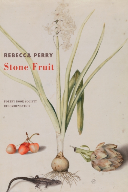 Cover for: Stone Fruit