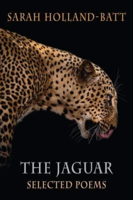 Image for The Jaguar : Selected Poems