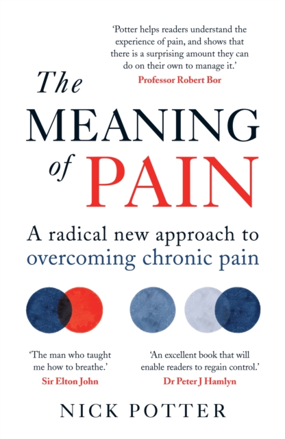 Image for The Meaning of Pain : A radical new approach to overcoming chronic pain