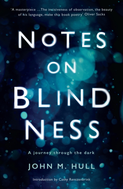 Image for Notes on Blindness : A journey through the dark