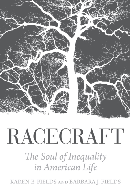 Image for Racecraft : The Soul of Inequality in American Life