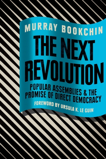 Cover for: The Next Revolution : Popular Assemblies and the Promise of Direct Democracy