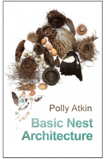 Cover for: Basic Nest Architecture