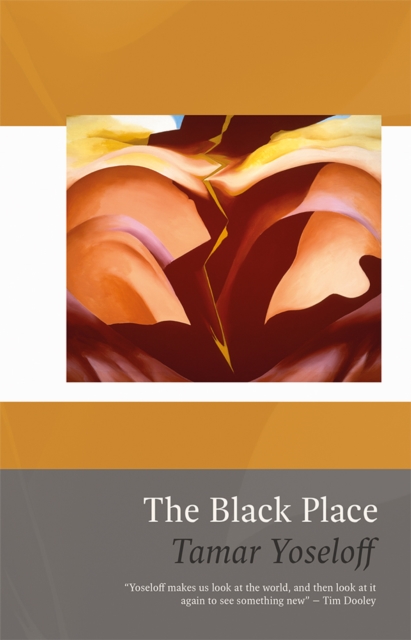 Image for The Black Place