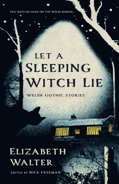 Image for Let a Sleeping Witch Lie : Welsh Gothic Stories by Elizabeth Walter