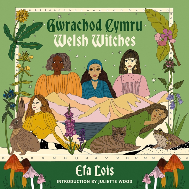 Image for Gwrachod Cymru | Welsh Witches