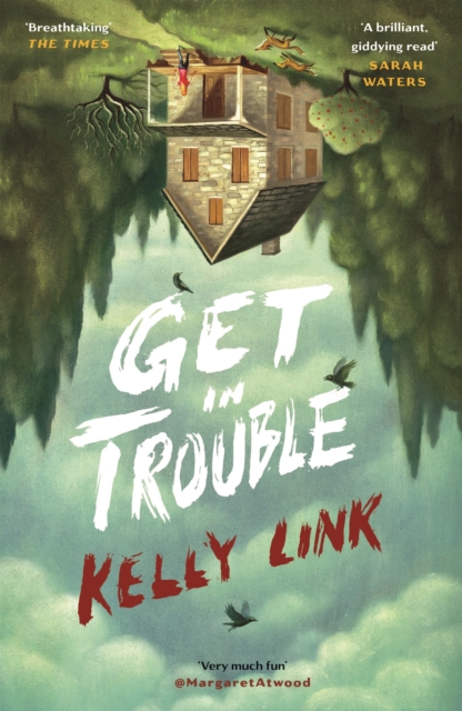 Image for Get in Trouble : Stories