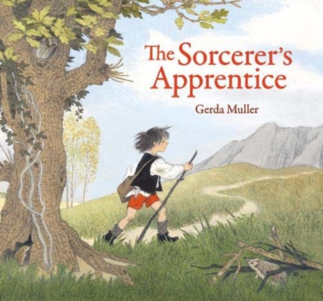 Image for The Sorcerer's Apprentice