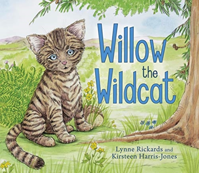Image for Willow the Wildcat