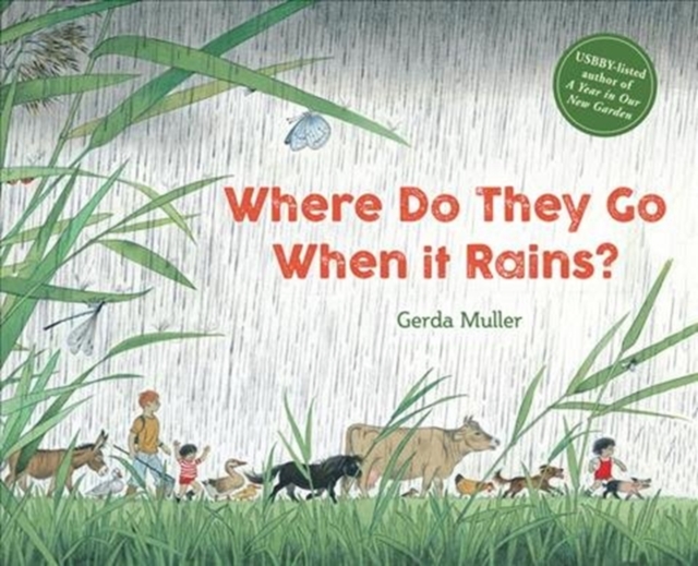 Image for Where Do They Go When It Rains?