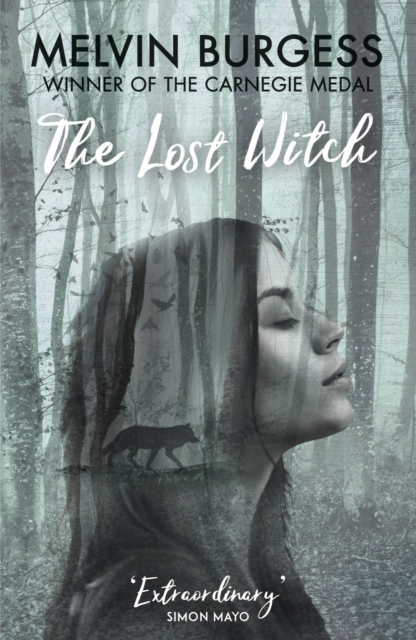 Image for The Lost Witch