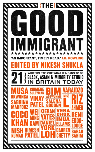 Image for The Good Immigrant