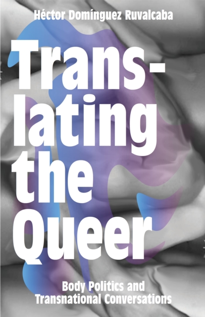 Image for Translating the Queer : Body Politics and Transnational Conversations