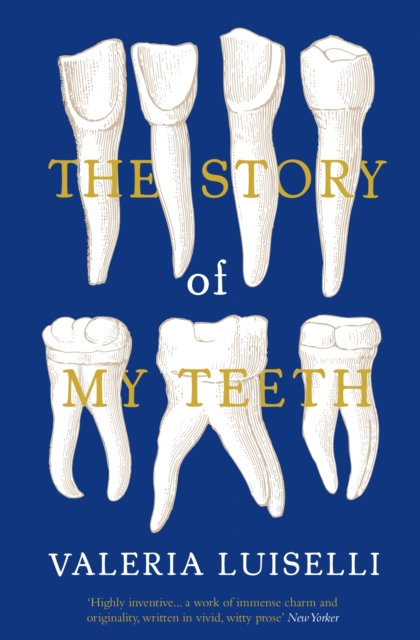 Image for The Story of My Teeth