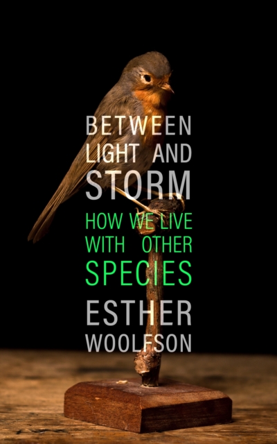 Image for Between Light and Storm : How We Live With Other Species