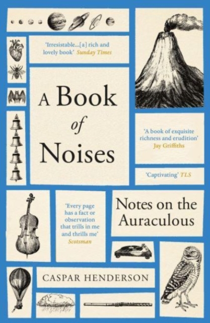 Image for A Book of Noises : Notes on the Auraculous