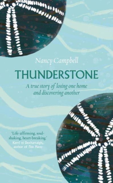 Cover for: Thunderstone : Finding Shelter from the Storm