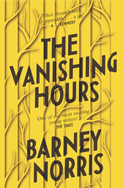 Cover for: The Vanishing Hours