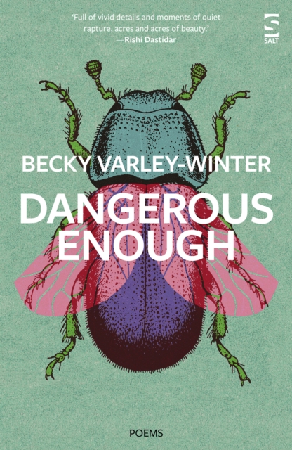 Cover for: Dangerous Enough