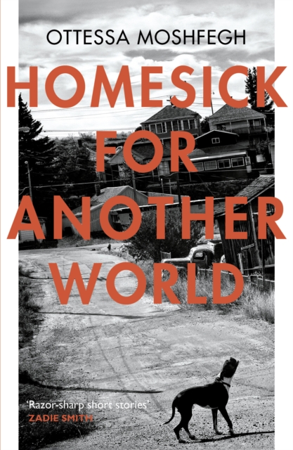 Image for Homesick For Another World