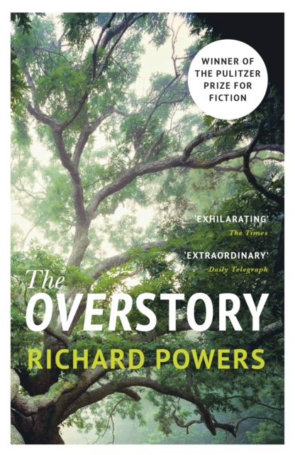 Image for The Overstory 