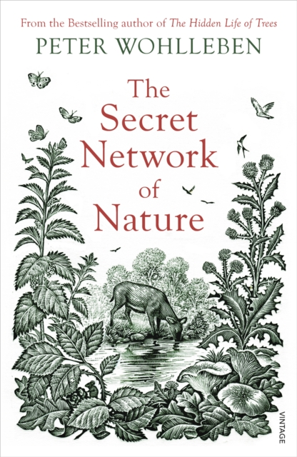 Cover for: The Secret Network of Nature : The Delicate Balance of All Living Things