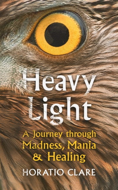 Image for Heavy Light : A Journey Through Madness, Mania and Healing