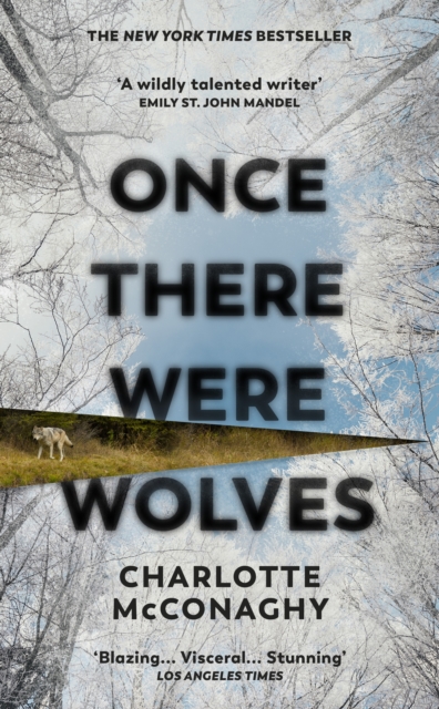 Image for Once There Were Wolves 