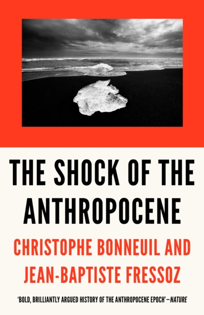 Image for The Shock of the Anthropocene : The Earth, History, and Us